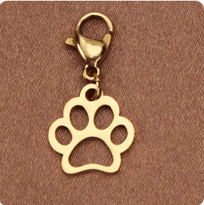 Charms con broche