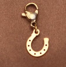 Charms con broche