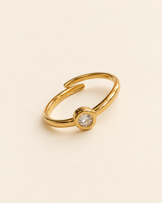 Anillo Gio Ajustable