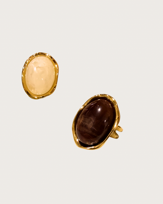 Anillo Terna