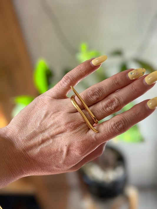 Anillo doble